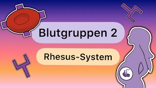 Blutgruppen TEIL 2 Das RHESUSSYSTEM [upl. by Ydnar]