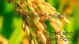 හරිත විප්ලවයෙන් ලැබුණු වාසි  Agricultural Science for Advance Level Examination Sinhala medium [upl. by Harias]