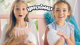 Spin Master  Hatchimals HatchiBabies  Hatching October 5th 🐣💖🍼 [upl. by Elyagiba441]