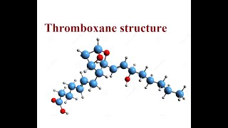 Thromboxane Structure and functions  2024 [upl. by Anthe]