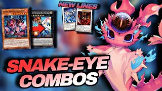 SnakeEye Combos Post Banlist And LEDE Support Ft SnakeEyes Diabellstar [upl. by Bluefield]