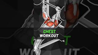 Ultimate Chest Building Workout Master the Incline and Fly 🔥 [upl. by Adams]