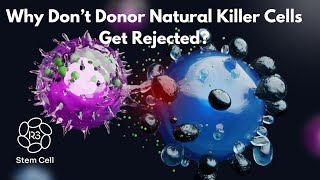 Why Dont Donor Natural Killer Cells Get Rejected 1844 4NKCELL [upl. by Acinimod]