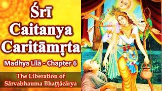 Chaitanya Charitamrita  Madhya Lila  CHAPTER 6  The Liberation of Srila Sarvabhauma Bhattacharya [upl. by Eilyah]