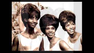 Weve Got Honey Love MARVELETTES Video Steven Bogarat [upl. by Airahs752]