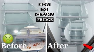 How I Clean My Fridge How To Deep Clean amp Sanitize your Fridge [upl. by Netsirhc]