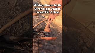 Cooking Dinner While Camping For 3 Days In Alaska Forest [upl. by Ogdon230]