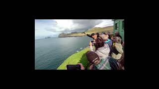 Tossing baby puffins from cliffs in Vestmannaeyjar Iceland [upl. by Ydaf898]