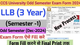 How to Fill CCSU Odd Semester Exam Form 2024  CCSU LLB Semester 1 Exam Form Kaise Bhare 2024 [upl. by Nowd]