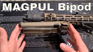 Magpul Bipod Review  Best Budget Bipod [upl. by Anelis]