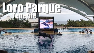 Loro Parque Tenerife  Epic Cinematic Impressions [upl. by Dlorej]