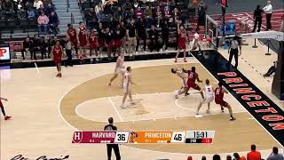 Xaivian Lees Big Day Leads Princeton Past Harvard [upl. by Iloj]