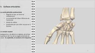 ANATOMIE FMPM POIGNET [upl. by Aelc]