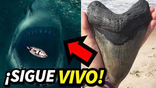 🦈10 MEGALODONES CAPTADOS EN CAMARA📸 [upl. by Ecal657]