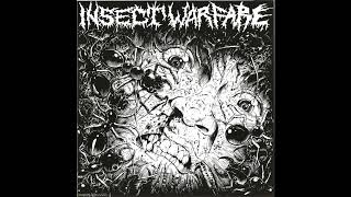 Insect Warfare amp Carcass Grinder Split 7quot Full EP [upl. by Adnamra]