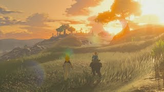 Verso la fonte della saggezza The Legend of Zelda Breath of the Wild ep 87 [upl. by Ttevi]