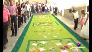 Las alfombras de serrín de Elche de la Sierra declaradas de interés turístico nacional [upl. by Vescuso]