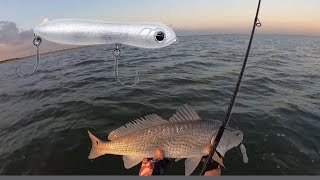 Topwater catches BIG Redfish and Trout Galveston Texas [upl. by Halpern957]