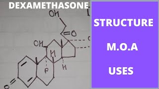 Mechanism of action of dexamethasone  uses of dexamethasone  dexamethasone medicinal chemistry [upl. by Bertrand]