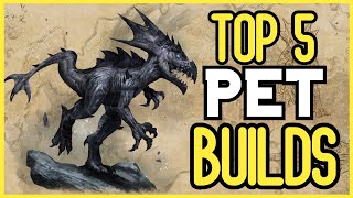 Top 5 PET Builds For The Elder Scrolls Online ESO Flames Of Ambition DLC Update [upl. by Attej]