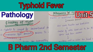 Typhoid Fever  Introduction EtiologySign And Symptoms And pathophysiology Of Typhoid pharmacy [upl. by Aretha]