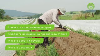 Sicheres Arbeiten auf dem Spargelfeld  Безопасна работа на полето с аспержи Bulgarisch [upl. by Old]