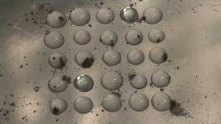 Heterogeneous nucleation of supercooled liquid water drops [upl. by Frech]