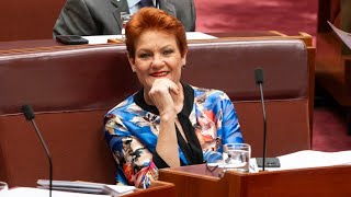 ‘A threat to them’ Pauline Hanson’s One Nation makes Queensland Labor ‘terrified’ [upl. by Zevahc]