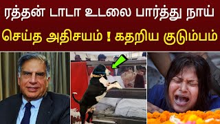 ரத்தன் டாடா உடலை பார்த்து நாய் செய்த அதிசியம்  கதறி குடும்பம் [upl. by Ande]