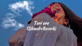 Teri Or  Slowed amp Reverb  LoFi Song  Raj LoFi slowedandreverb lofibeats [upl. by Felisha670]