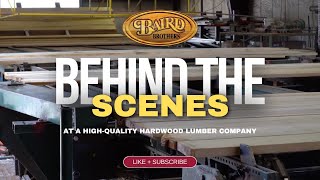 Behind the Scenes at a HighQuality Hardwood Lumber Company [upl. by Annid945]