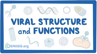 Viral Structure and Functions [upl. by Oderfodog]