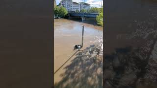 Extremes Hochwasser im Saarland Land unter in Saarbrücken [upl. by Brandice]