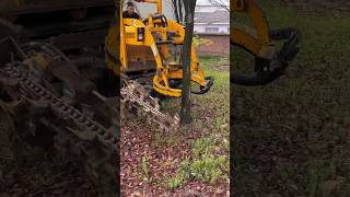 treecutting treecuttingservice didingmachine treedidingvideo treeremoval treedidingmachine [upl. by Sac632]