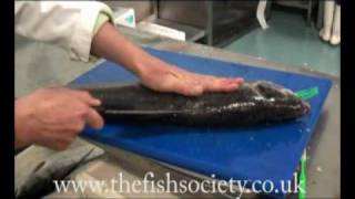 How to Fillet A Wild Salmon [upl. by Yerffej365]