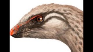 Lesothosaurus Fleet footed Ornithischian from Early Jurassic Southern Africa [upl. by Suiravad]