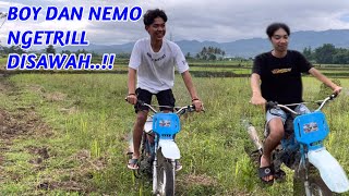 BOY DAN NEMO NGETRIL DISAWAH [upl. by Iloj980]