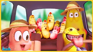 Larva Season 3 Episode 73 🍟Larva Cartoons  The BEST of Cartoon Box [upl. by Ligriv808]