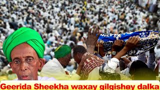 Xog dheraad ah oo kasoo korortay Geerida Sheikh Cismaan Xidig oo Gilgishay Dalka oo dhan [upl. by Ysset]