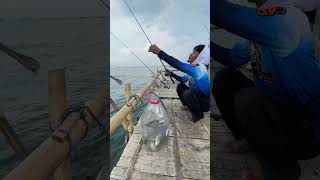 Pemancing kocak mancing ikannya lari mancing mancingmania ikan kocakabis ngakakkocak shorts [upl. by Ogdon]