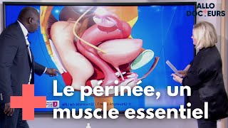 Comment protéger votre périnée   Allo Docteurs [upl. by Evadne]