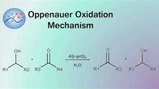 Oppenauer Oxidation Mechanism  Organic Chemistry [upl. by Neelahs]