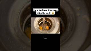 How Garbage Disposals actually work 😳 garbagedisposal sink garbage [upl. by Perl]