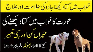 Khwab Mein Kutta Dekhny Ki Sachi Tabeer  To See a Dog in a Dream Means  Khawabon Ki Sachi Tabeer [upl. by Lanni]