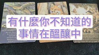 💜塔羅占卜 有什麼你不知道的事情在醞釀中 [upl. by Socram546]