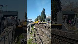 FERROCARRIL URQUIZA LLEGANDO A ESTACIÓN DEVOTO train turismobuenosaires travel [upl. by Nygem]