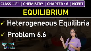 Class 11th Chemistry  Heterogeneous Equilibria  Problem 66  Chapter 6 Equilibrium  NCERT [upl. by Stanhope]