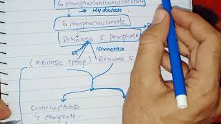 Hexose Monophosphate Shunt and its Biomedical importance [upl. by Archibald]