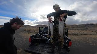 Fishing Pyramid Lake Nevada  Lahontan Cutthroat Trout [upl. by Emma]