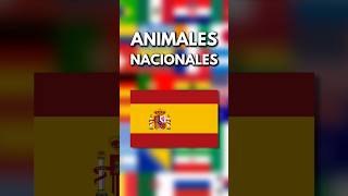 ANIMALES NACIONALES ESPAÑA animales shorts [upl. by Ignacia]